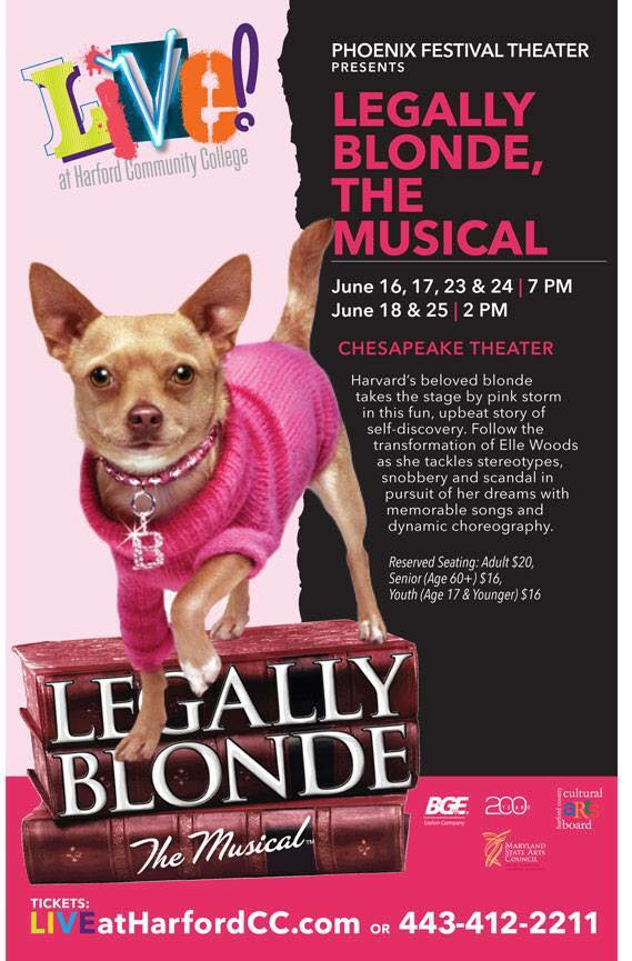 Legally Blonde at Phoenix Festival Theater - TheatreBloom