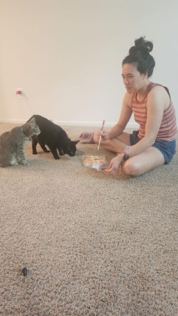 Ophelia (gray cat) and Benny (black cat) both belonging to Ryan Garbee as they are investigating sushi. 